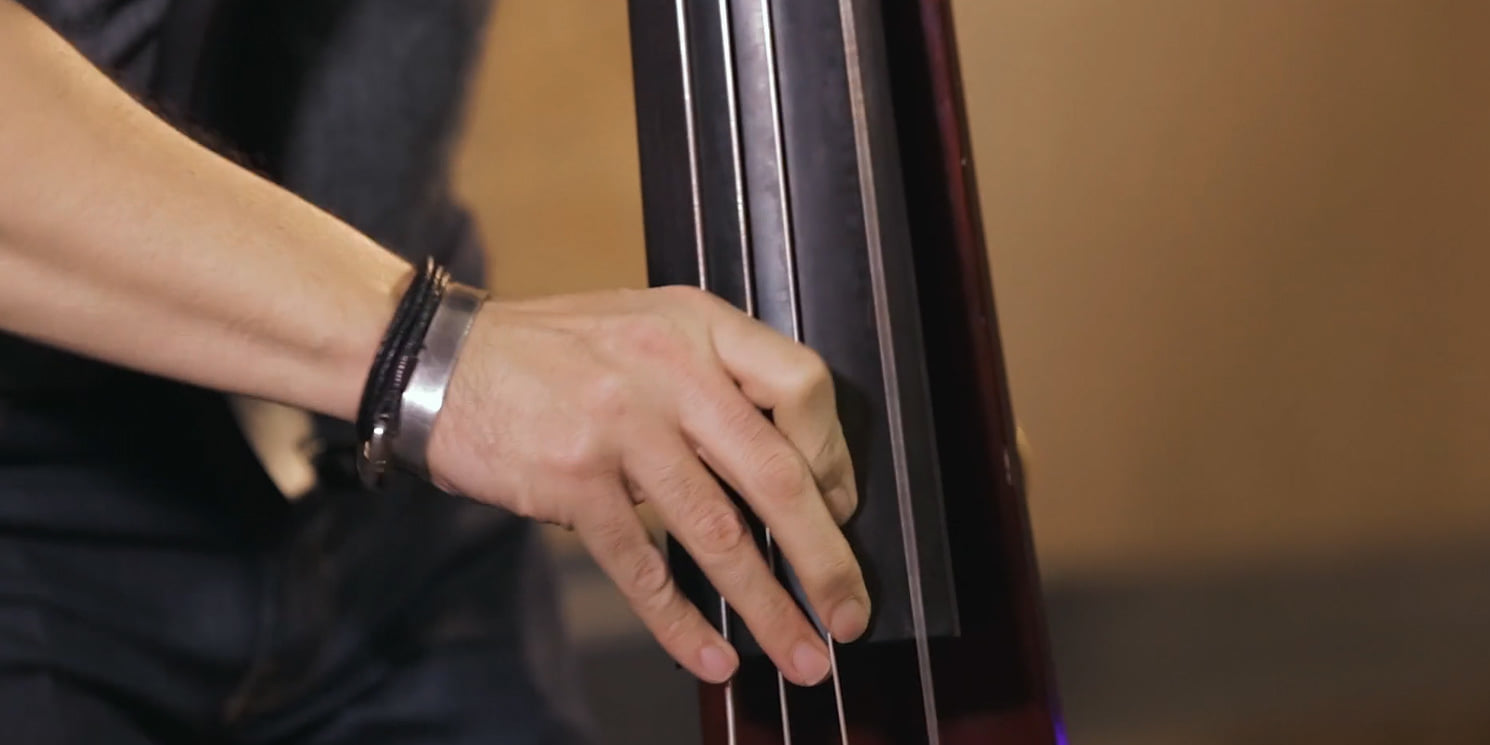 Jazz Standards for Bass: Essential Tips, Tricks and Techniques with Chris Minh Doky